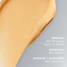 Dermalogica MultiVitamin Power Recovery Masque